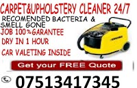 carpet cleaneranddomestic cleaners 356241 Image 0